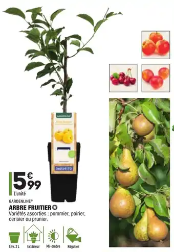 ALDI Arbre Fruitier offre