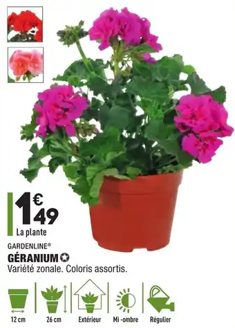 ALDI Géranium offre