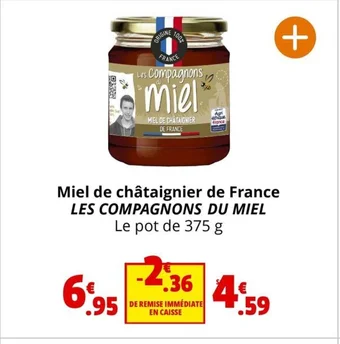 Coccinelle Express Miel de châtaignier de France LES COMPAGNONS DU MIEL offre