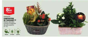 ALDI COMPOSITION DE TOUSSAINT offre