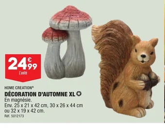 ALDI DÉCORATION D'AUTOMNE XL offre