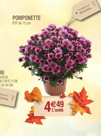 Cora x Carrefour POMPONETTE offre