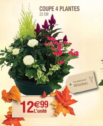 Cora x Carrefour COUPE 4 PLANTES offre