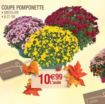 Cora x Carrefour COUPE POMPONETTE offre