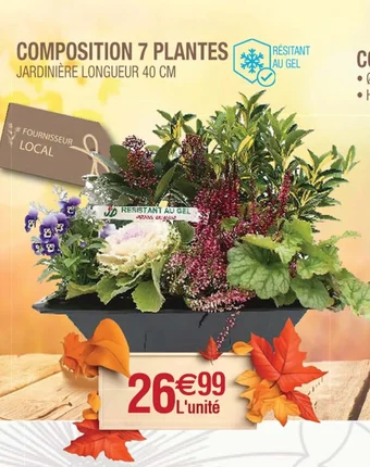 Cora x Carrefour COMPOSITION 7 PLANTES offre