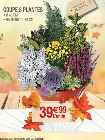 Cora x Carrefour COUPE 8 PLANTES offre