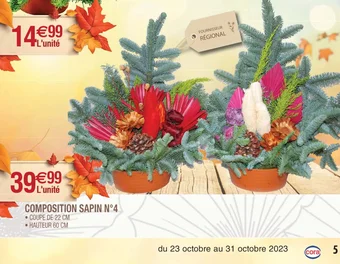 Cora x Carrefour COMPOSITION SAPIN N°4 offre