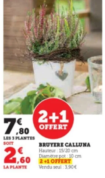 Super U BRUYERE CALLUNA offre