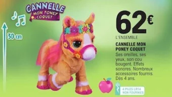 CANNELLE MON PONEY COQUET