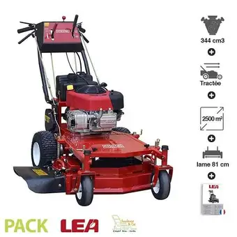 Brico Cash Tondeuse thermique professionnelle 10,5 cv briggs stratton ovh 344 cm3 dunsch 12344 offre