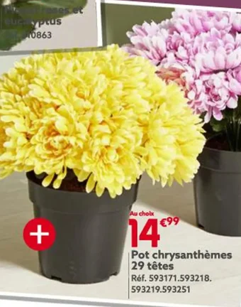 Gifi Pot chrysanthèmes 29 têtes offre