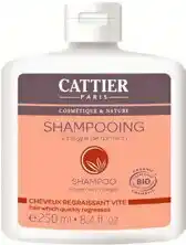 Monoprix Shampoing Cheveux regraissant vite offre