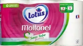 Papier toilette sans tube “Moltonel”