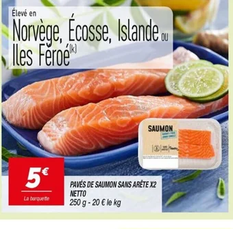 Netto PAVÉS DE SAUMON SANS ARÊTE X2 offre
