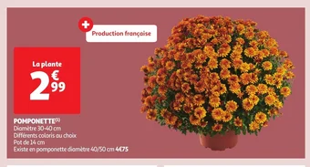 Auchan POMPONETTE offre
