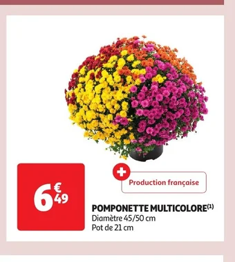 POMPONETTE MULTICOLORE