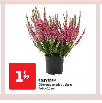 Auchan BRUYÈRE offre