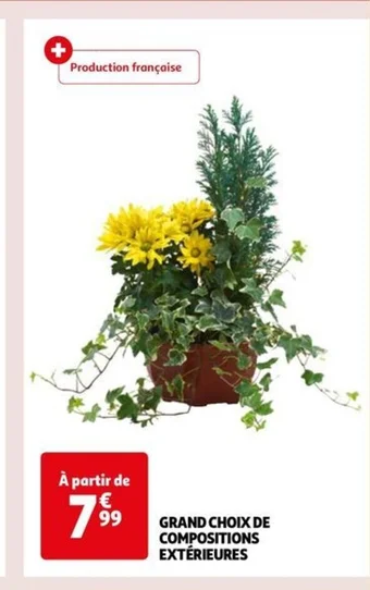 Auchan GRAND CHOIX DE COMPOSITIONS EXTÉRIEURES offre
