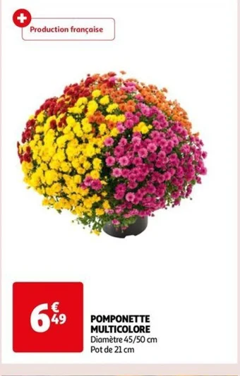 POMPONETTE MULTICOLORE