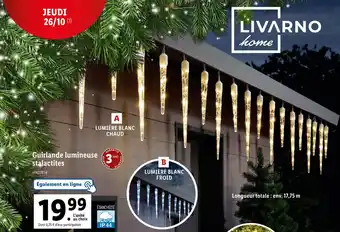 Lidl Livarno home guirlande lumineuse stalactites offre
