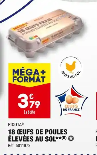 ALDI Picota 18 œufs de poules élevées au sol offre