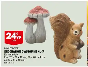 ALDI Home creation décoration d’automne xl offre