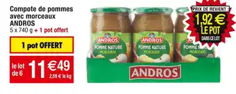 Cora x Carrefour Andros compote de pommes avec morceaux offre