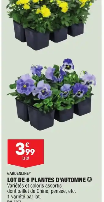 ALDI LOT DE 6 PLANTES D'AUTOMNE offre
