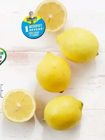 Match Citron Jaune Non Traité offre