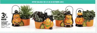 E.Leclerc PLANTE VERTE CÉRAMIQUE HALLOWEEN + LED (6) offre