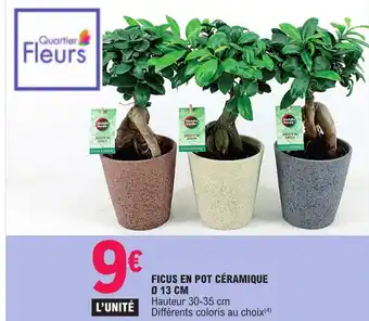 E.Leclerc FICUS EN POT CÉRAMIQUE 0 13 CM offre