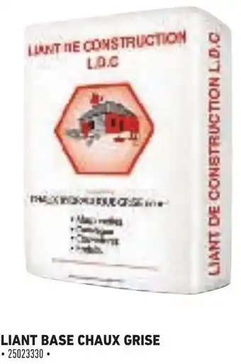 Brico Cash Liant Base Chaux Grise offre