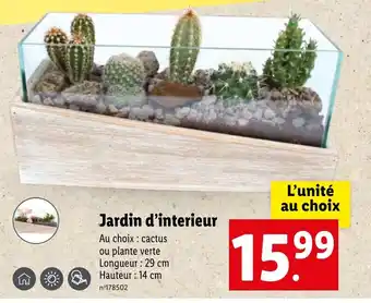 Lidl Jardin d'interieur offre