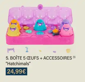Hatchimals boîte 5 oeuf + accessoires