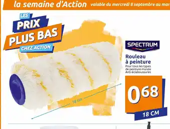 Action Rouleau a Peinture offre
