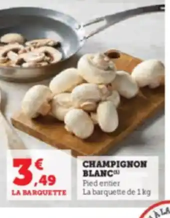 CHAMPIGNON BLANC