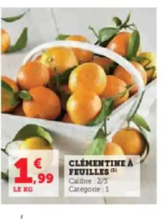 Hyper U CLEMENTINE À FEUILLES offre