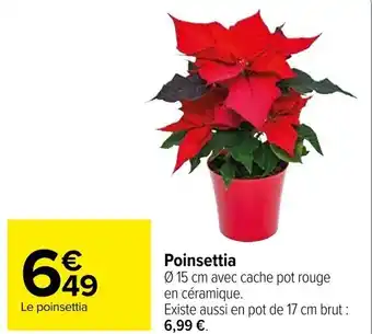 Carrefour Poinsettia offre