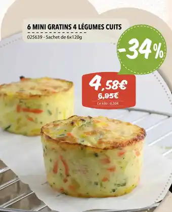 Gel 2000 6 MINI GRATINS 4 LÉGUMES CUITS offre