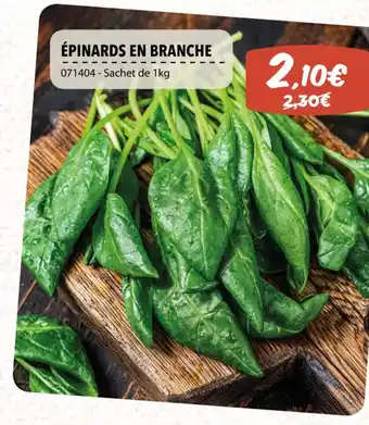 ĂPINARDS EN BRANCHE 071404 - Sachet de 1kg