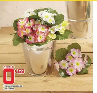 Gifi Piquet pensées ou roses offre