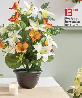 Pot lys et hortensias