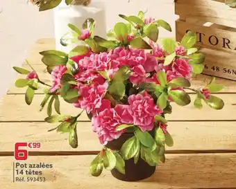 Pot azalées 14 têtes