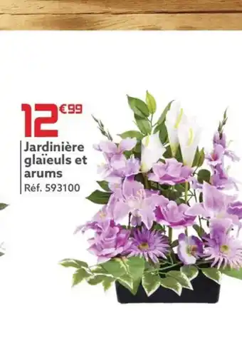 Gifi Jardinière glaïeuls et arums offre