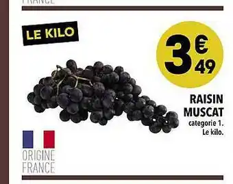 Raisin Muscat