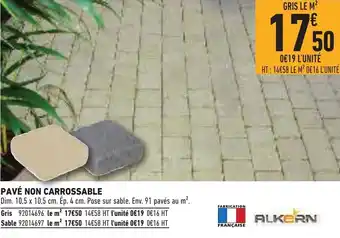 Pavé Non Carrossable