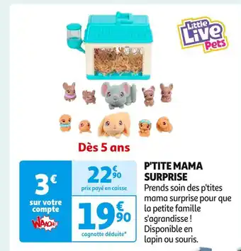 Auchan Supermarché Little live pets p'tite mama surprise offre
