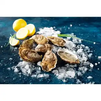 Auchan Huîtres creuses spéciales offre