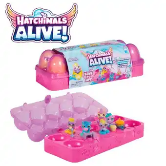 Auchan Boite 5 oeufs hatchimals + accessoires offre