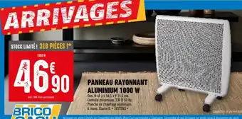 Brico Cash PANNEAU RAYONNANT ALUMINIUM 1000 W offre